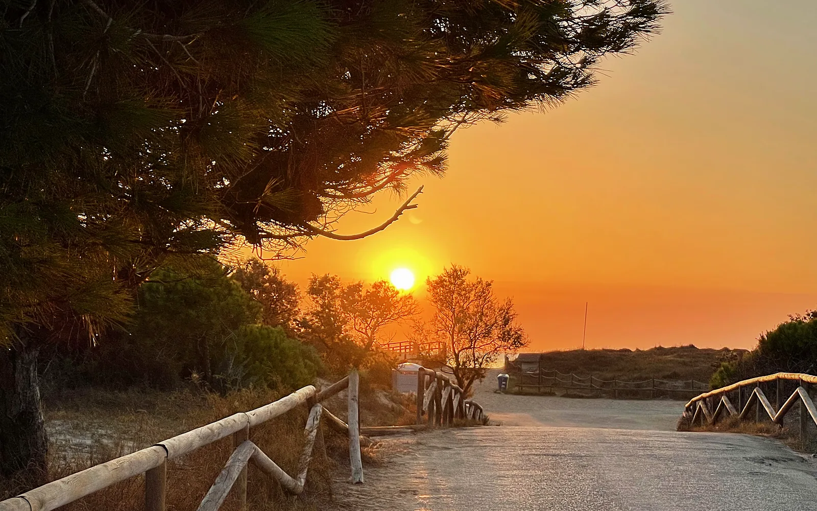 Evening path to the dunes