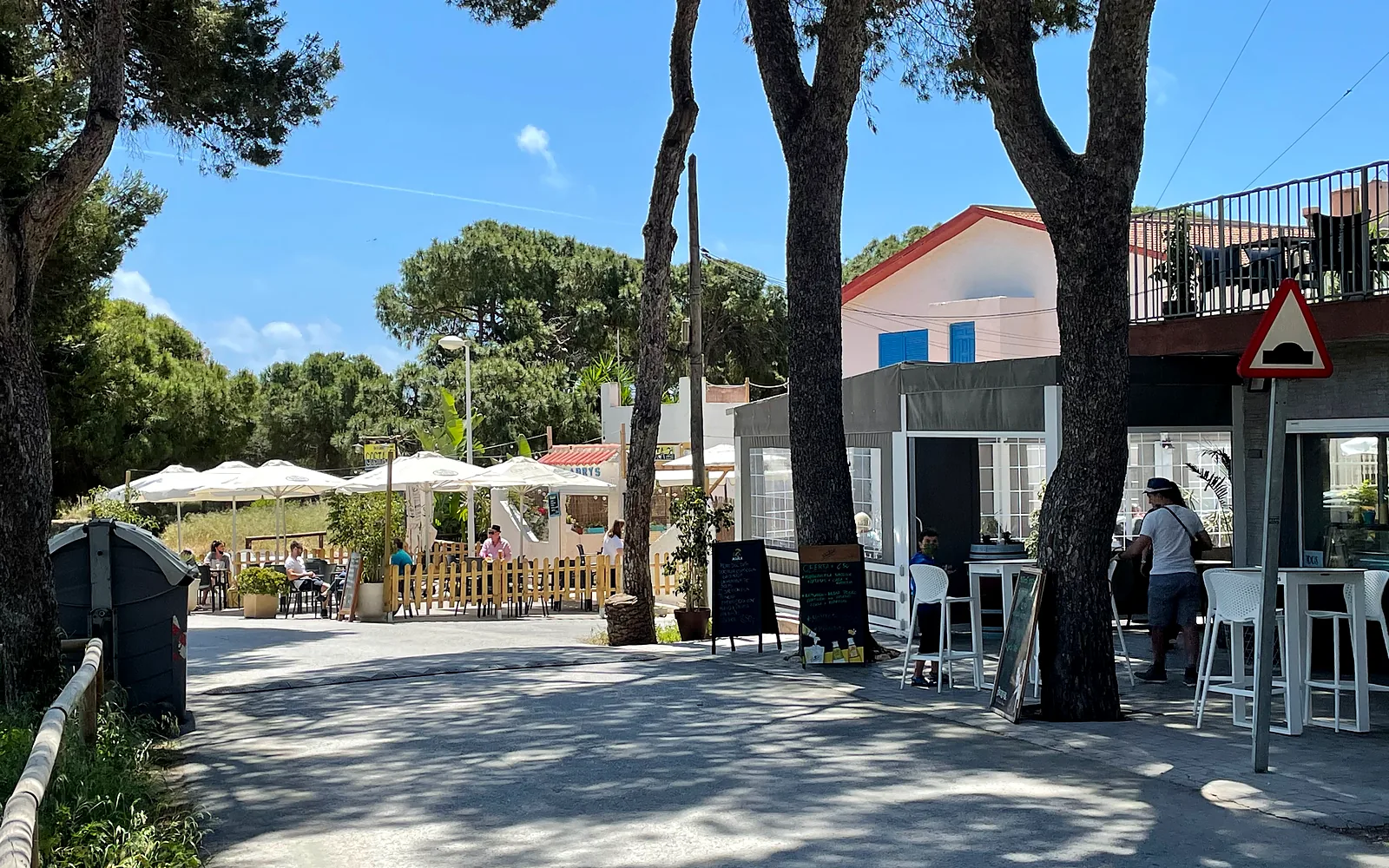 Cafe and pine trees