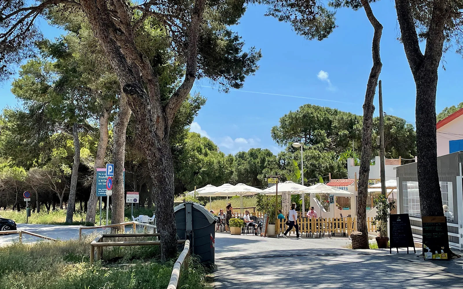 Cafe under the pines