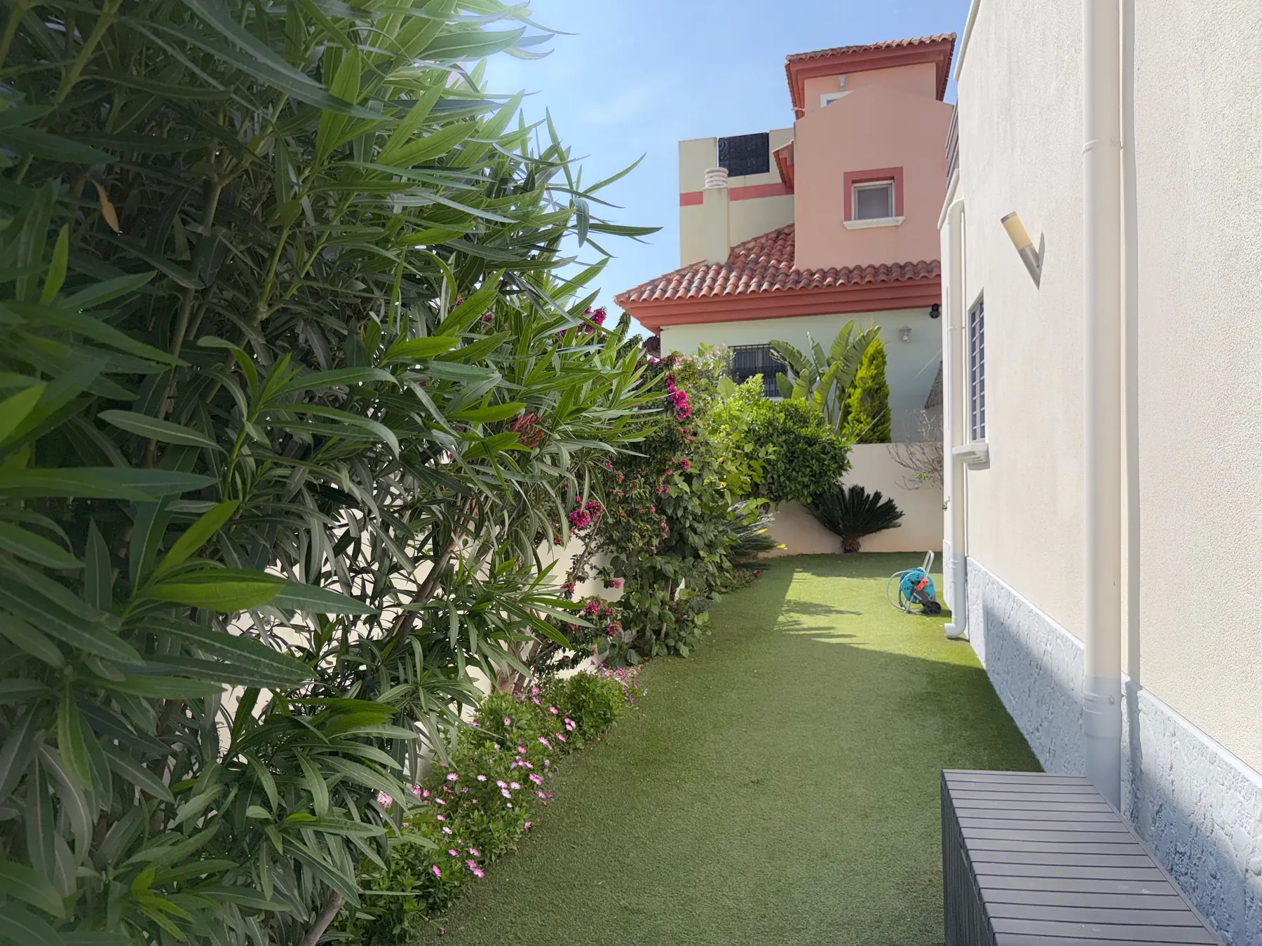 Gruener Gartenweg entlang der Villa mit mediterranen Pflanzen